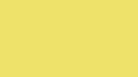 358ceafd-353f-8e45-e722-5a63ed4138f8.gif
